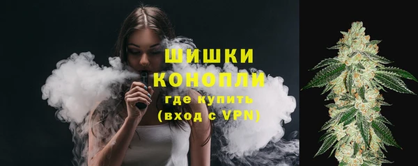 тгк Богородицк