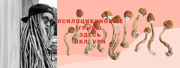 альфа пвп Бугульма