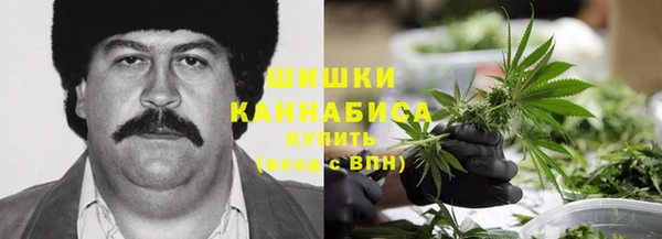 индика Богданович