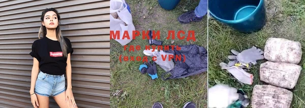 индика Богданович
