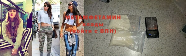 индика Богданович