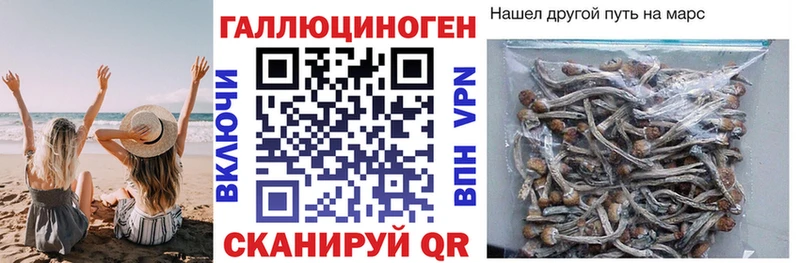 omg зеркало  дарнет шоп  Пенза  Псилоцибиновые грибы ЛСД 
